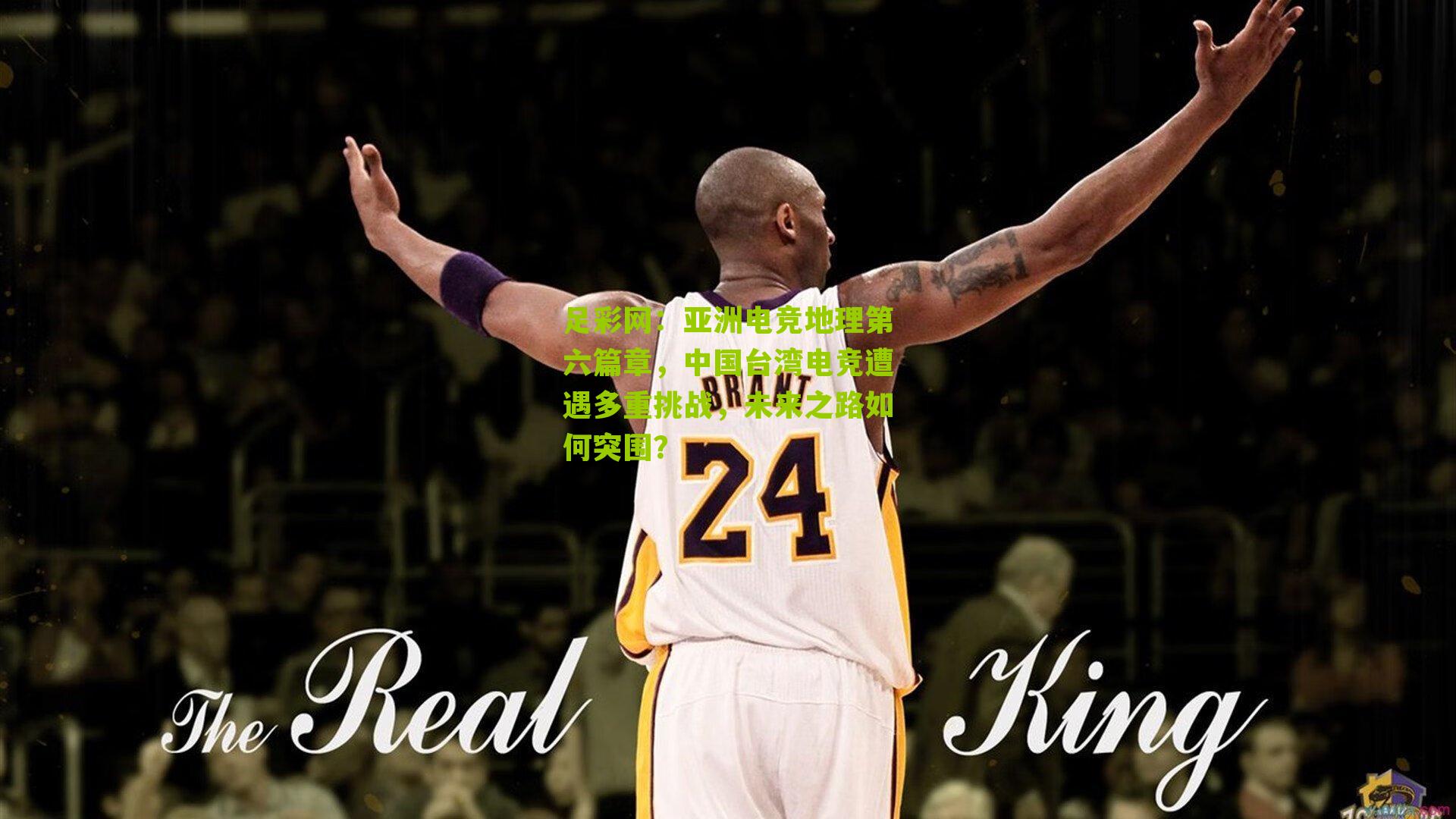 亚洲电竞地理第六篇章，中国台湾电竞遭遇多重挑战，未来之路如何突围？