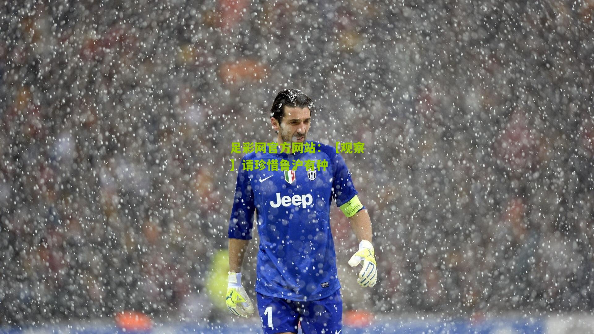 【观察】请珍惜鲁沪有种